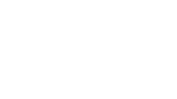Airbus